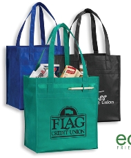 Deluxe Grocery Shopper