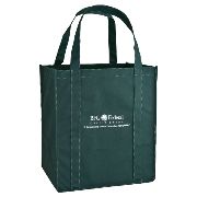 Eco Carry Large Shopping Bag