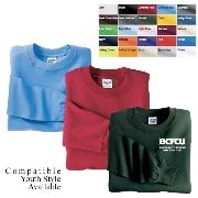 Heavyweight Tee (LS) - Spot Color Imprint