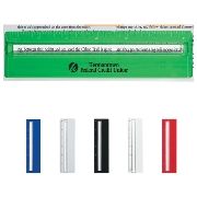 Plastic 6 Inch Ruler With Magnifying Glass