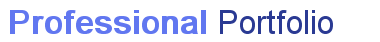 Professional Portfolio