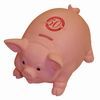 Biggy Piggy Piggy Bank