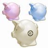 Contemporary Pig Piggy Bank