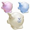 Contemporary Pig Piggy Bank