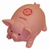 Biggy Piggy Piggy Bank