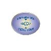 7/8 Inch X 3/4 Inch Oval Lapel Pin