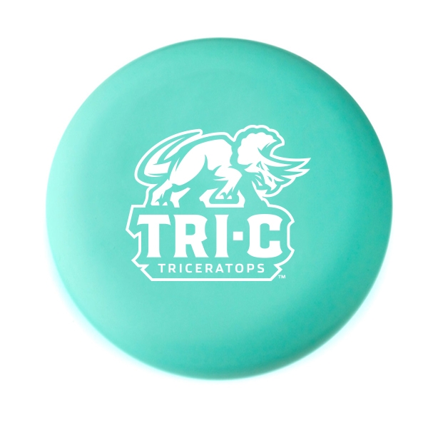 DX Plastic Disc Golf Disc Driver