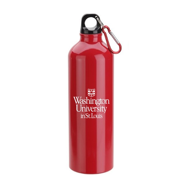 Aluminum Custom Water Bottle w/ Carabiner - 17 oz.